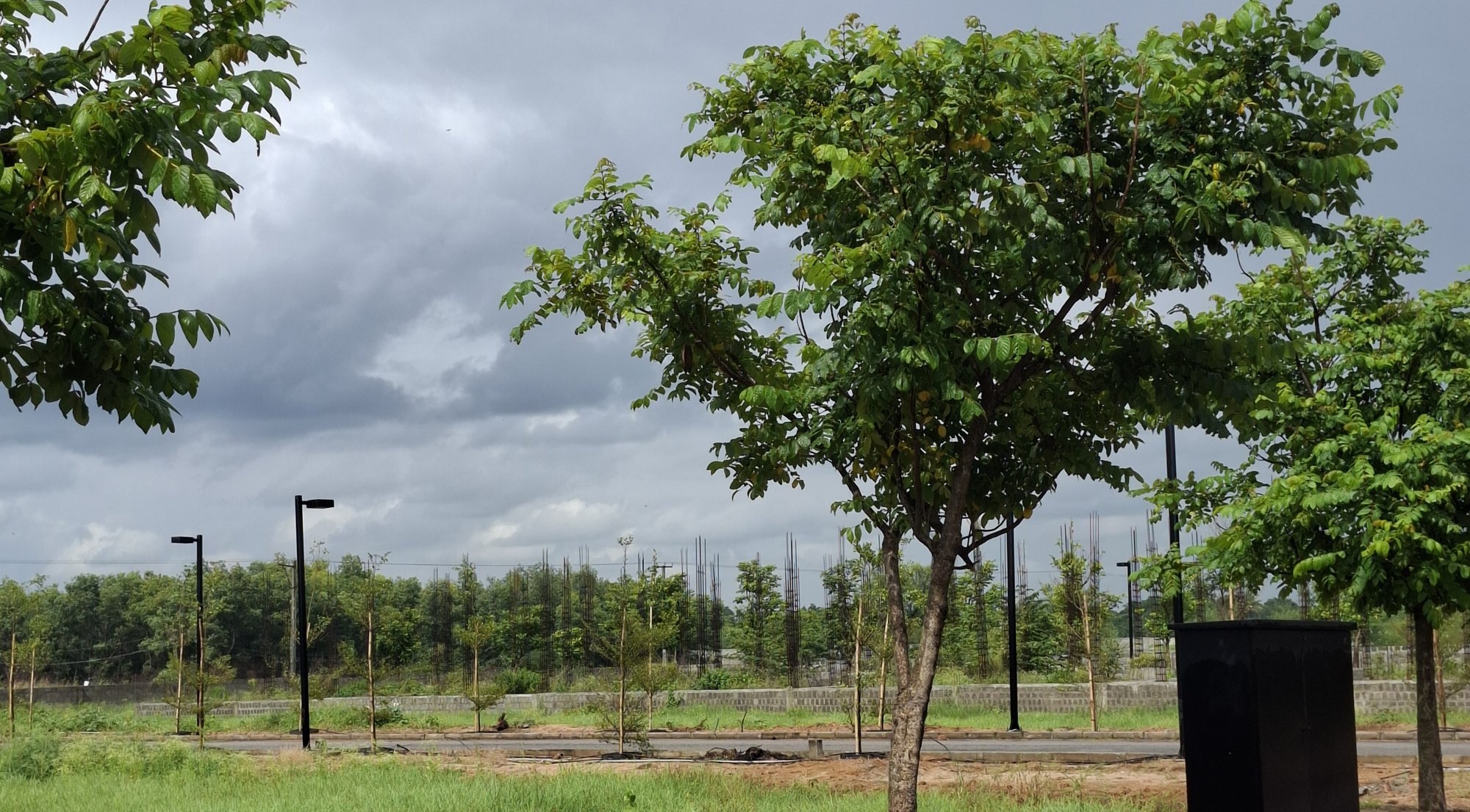 Park Central today — avenue plantation, street lights and internal roads